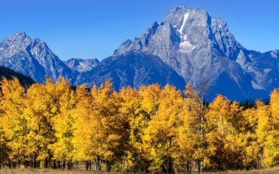 Discover the Top 3 Fall Getaways